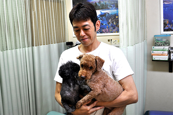 ドッグセラピー